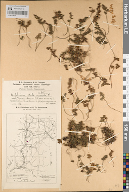 LE 01218030