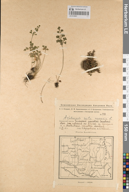 LE 01218031