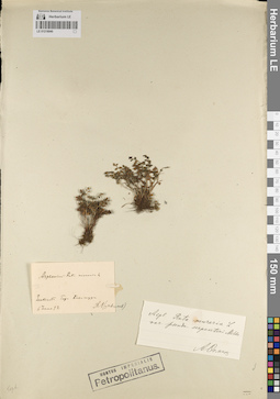 LE 01218040