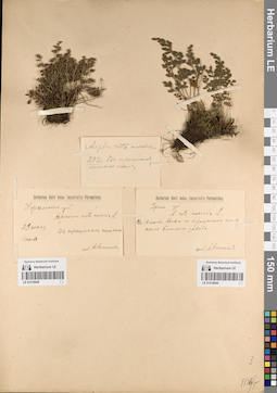 LE 01218048