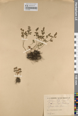 LE 01218050