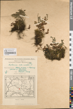 LE 01218052