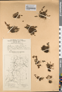 LE 01218056