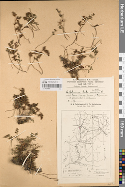 LE 01218057