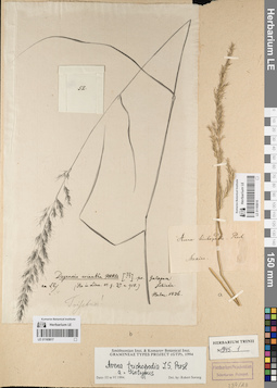 LE 01165817