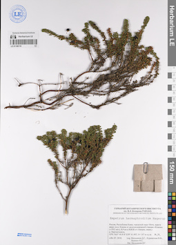 LE 01108110