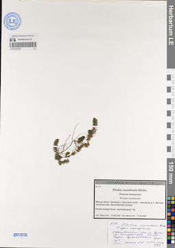 LE 01121419