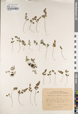 LE 01218178