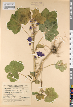 LE 01218269