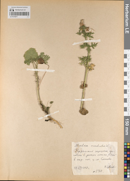 LE 01218271