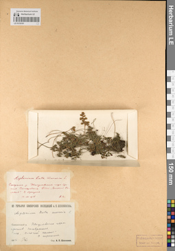 LE 01218181