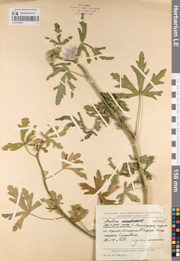 LE 01218274