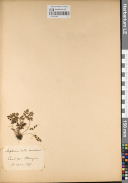 LE 01218186