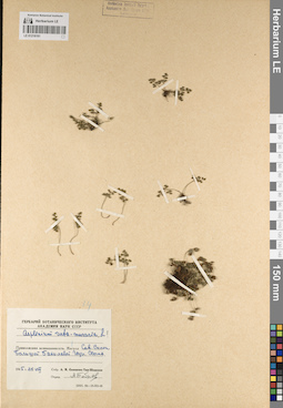 LE 01218191