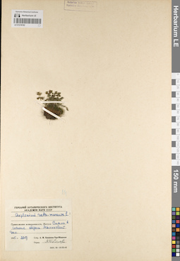 LE 01218192