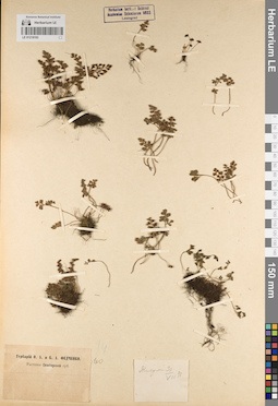 LE 01218193
