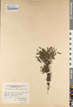 LE 01218194