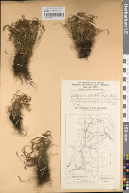 LE 01218197