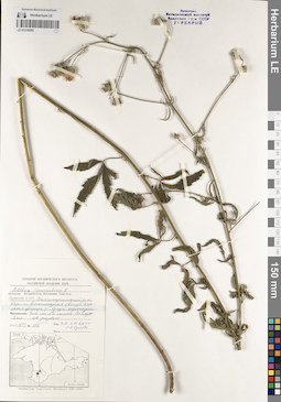 LE 01218293