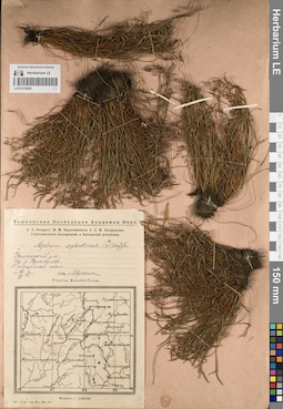 LE 01218203