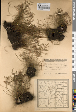 LE 01218206
