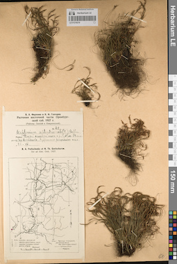 LE 01218219