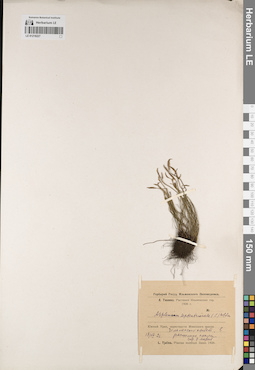 LE 01218227