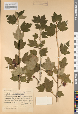 LE 01218122