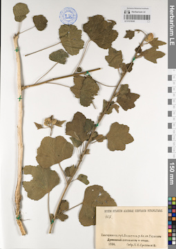 LE 01218345