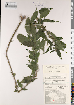 LE 01218135