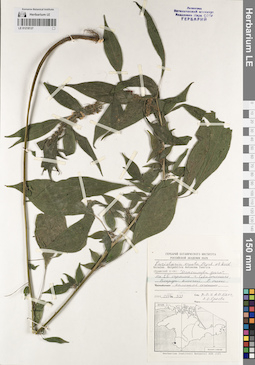 LE 01218137