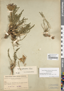 LE 01082569