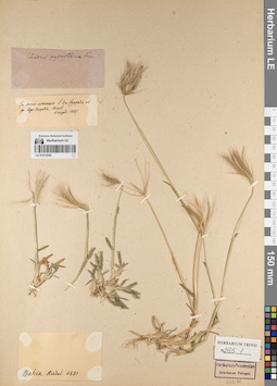 LE 01072042