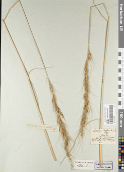 LE 01165866