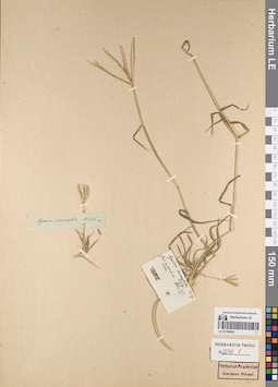 LE 01166041