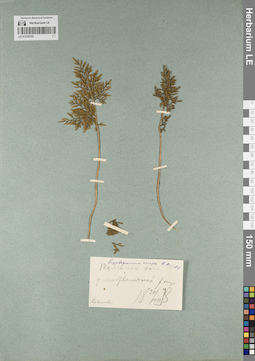 LE 01218722