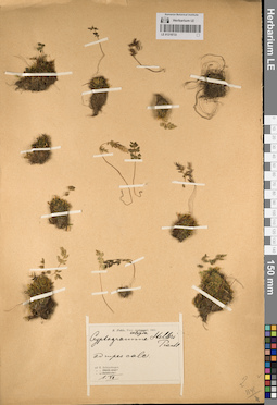 LE 01218733