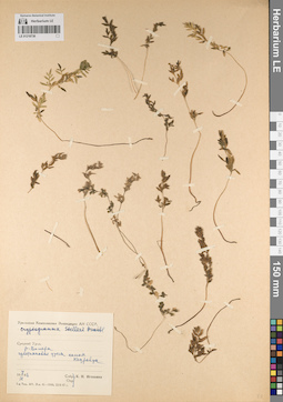 LE 01218736