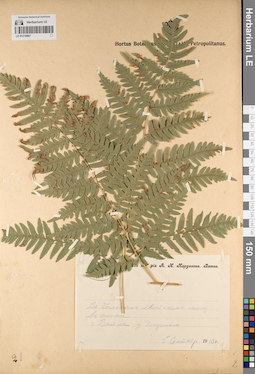 LE 01218807
