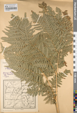 LE 01218811