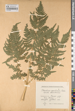 LE 01218819
