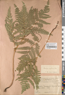 LE 01218830