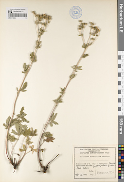 LE 01218862