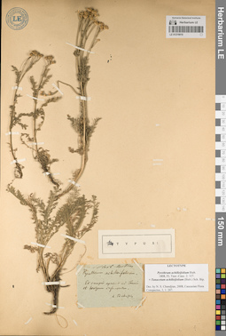 LE 01219019