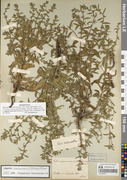 LE 01083107