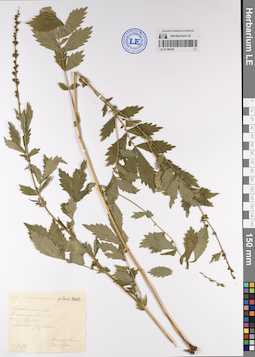 LE 01189187