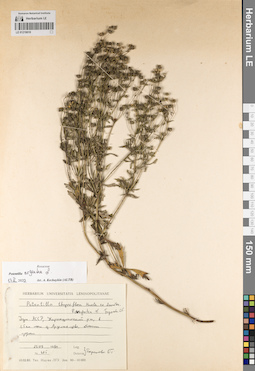 LE 01219010