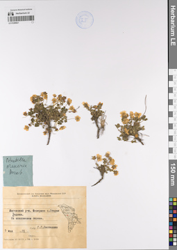 LE 01200621