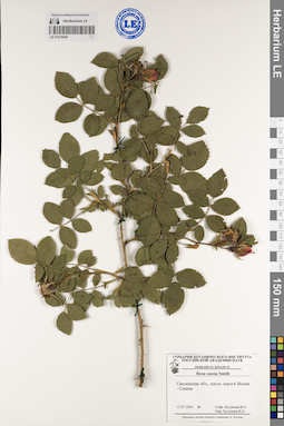 LE 01219452