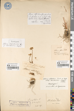 LE 01070840